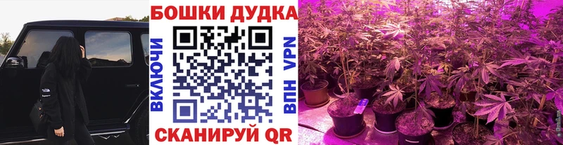 Канабис конопля  ОМГ ОМГ ссылки  Алушта 